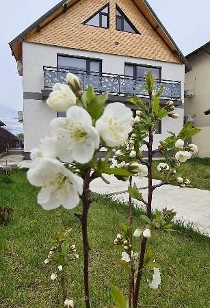 Casuta Noastra - Sulina Hotel Exterior photo